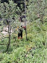 팜모닝 사과·영농일지 게시글 이미지