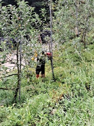 알 수 없음님의 사과 · 영농일지 작성글 사진