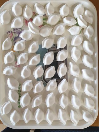 강윤원 보림팜(주)님의 작성글 사진