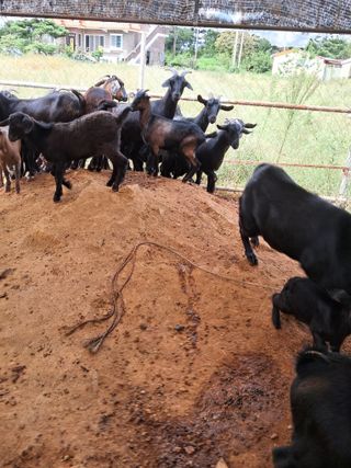 김석현님의 자유주제 · 자유게시판 작성글 사진