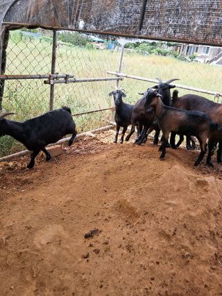 김석현님의 자유주제 · 자유게시판 작성글 사진