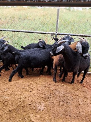 김석현님의 자유주제 · 자유게시판 작성글 사진