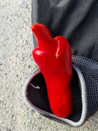 숲속의사나이님의 자유주제 · 자유게시판 작성글 사진