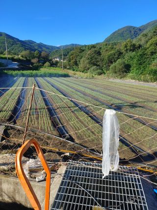 숲속의사나이님의 자유주제 · 자유게시판 작성글 사진