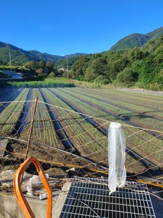 숲속의사나이님의 자유주제 · 자유게시판 작성글 사진