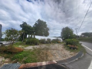 선식물원.선조경.이선님의 자유주제 · 자유게시판 작성글 사진