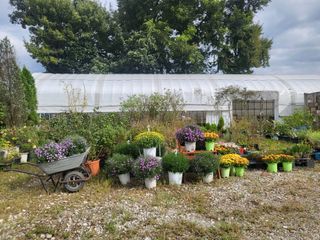 선식물원.선조경.이선님의 자유주제 · 자유게시판 작성글 사진