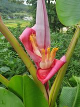 팜모닝 자유주제·자유게시판 게시글 이미지