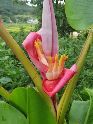 정봉원님의 자유주제 · 자유게시판 작성글 사진