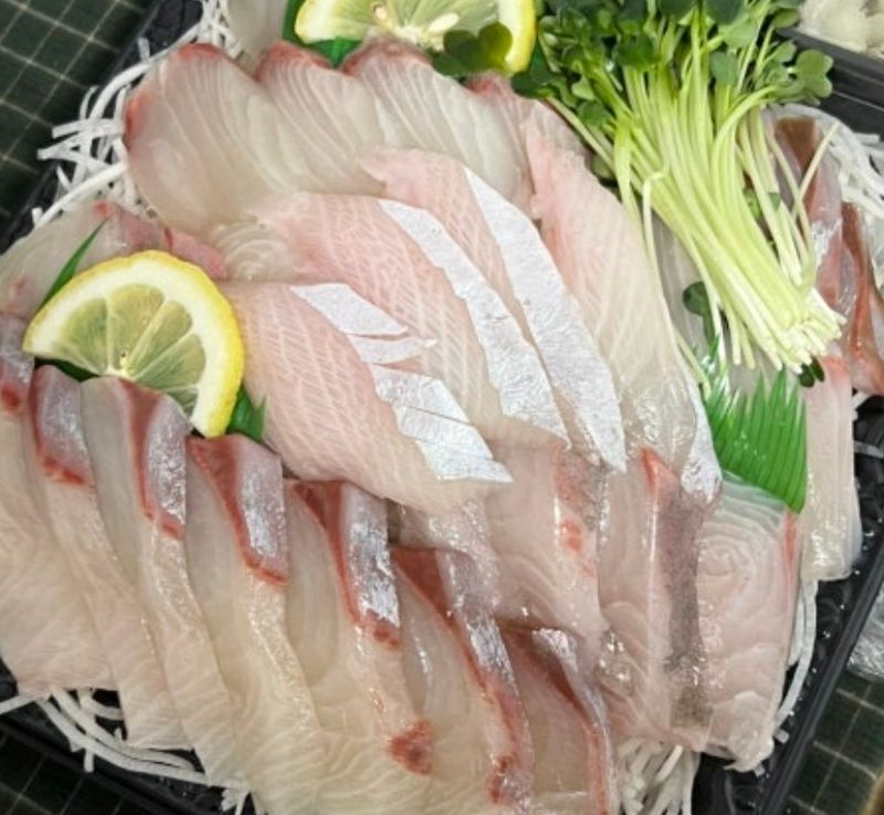장터 상품 [국내산 자연산 제철생선회 늦여름부터 가을까지는 잿방어회  생물기준 2kg 초가을제철생선회 1마리 통필렛] 썸네일