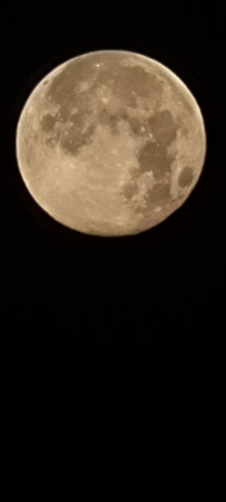 나비를좋아하는사람님의 한가위, 덕담을 나눠주세요 · 참여글 작성글 사진