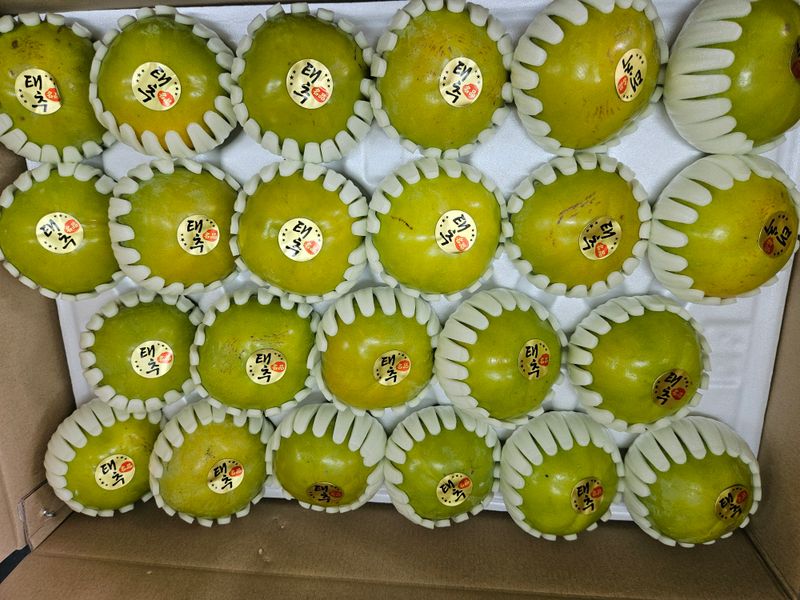 장터 상품 [창원태추단감] 썸네일