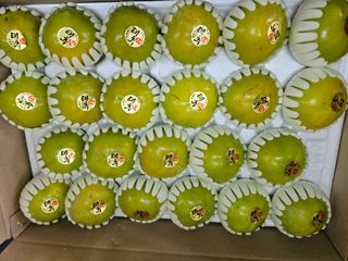 자연애 단감농원님의 작성글 사진