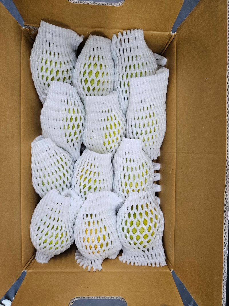 자연애 단감농원님의 장터 판매 상품 [창원태추단감] 첨부 사진