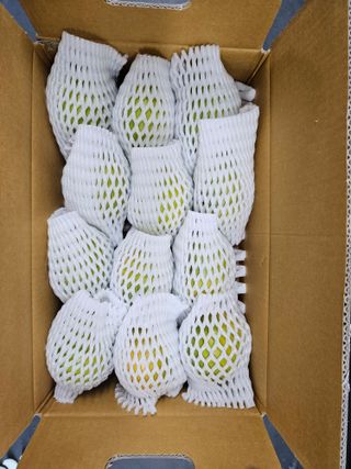 자연애 단감농원님의 작성글 사진