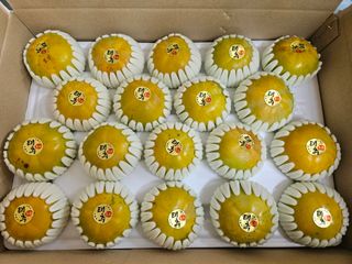 자연애 단감농원님의 작성글 사진