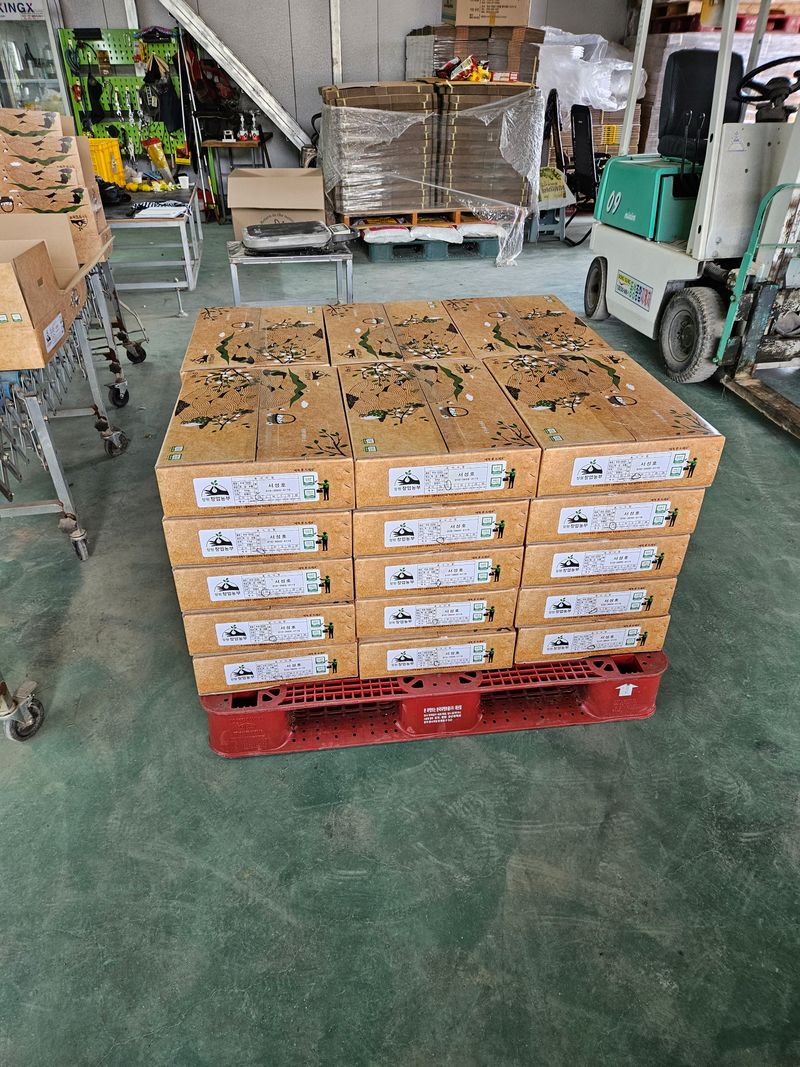 자연애 단감농원님의 장터 판매 상품 [창원태추단감] 첨부 사진