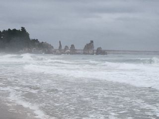 고영희님의 한가위, 덕담을 나눠주세요 · 참여글 작성글 사진