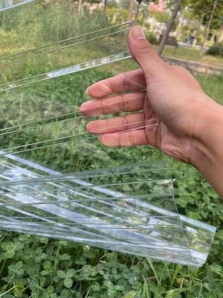 다이쏘(권자영)님의 작성글 사진