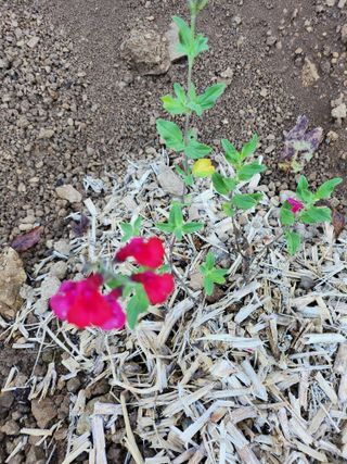 나양숙님의 자유주제 · 사진전 작성글 사진