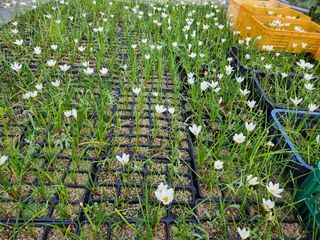 나양숙님의 자유주제 · 사진전 작성글 사진