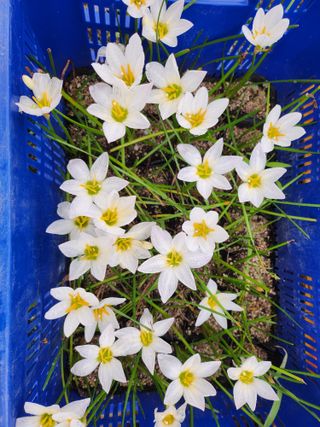 나양숙님의 자유주제 · 사진전 작성글 사진