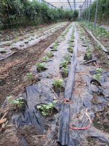 팜모닝 자유주제·자유게시판 게시글 이미지