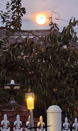 하은와송~♡♡♡~님의 자유주제 · 자유게시판 작성글 사진