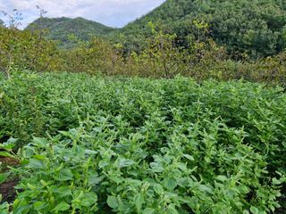 정석구님의 자유주제 · 자유게시판 작성글 사진