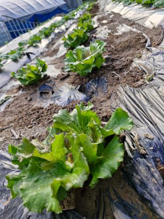 정석구님의 자유주제 · 자유게시판 작성글 사진