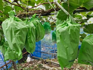 정석구님의 자유주제 · 자유게시판 작성글 사진