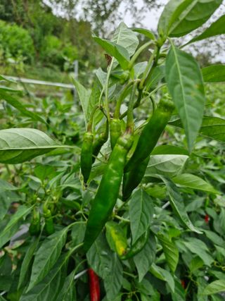 정석구님의 자유주제 · 자유게시판 작성글 사진