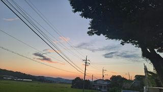 병찬님의 작성글 사진