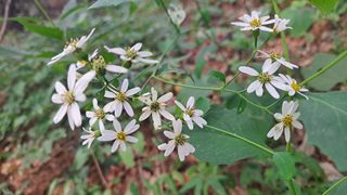 병찬님의 작성글 사진