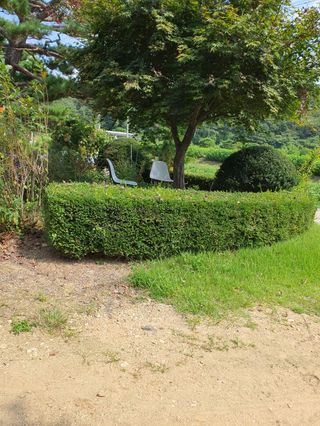 구자면님의 고추 · 영농일지 작성글 사진