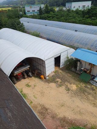 구자면님의 고추 · 영농일지 작성글 사진