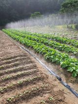 팜모닝 자유주제·자유게시판 게시글 이미지