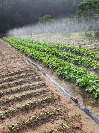 구자면님의 자유주제 · 자유게시판 작성글 사진