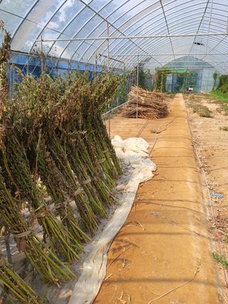 구자면님의 자유주제 · 자유게시판 작성글 사진