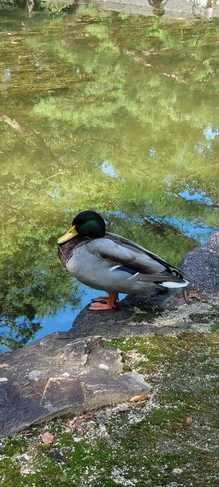 강다원님의 자유주제 · 자유게시판 작성글 사진
