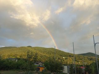 김년욱님의 작성글 사진