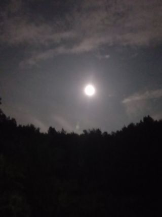 중딩농부정성엽님의 자유주제 · 자유게시판 작성글 사진