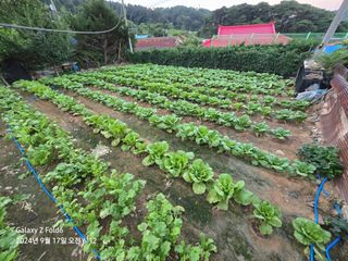 정진님의 자유주제 · 사진전 작성글 사진