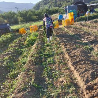 박수연님의 자유주제 · 자유게시판 작성글 사진