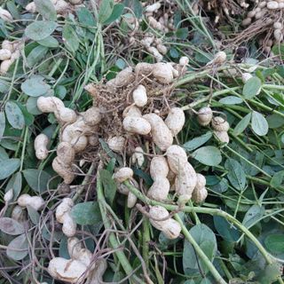 박수연님의 자유주제 · 자유게시판 작성글 사진