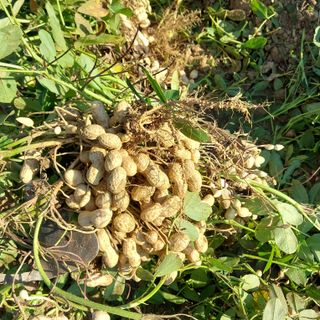 박수연님의 자유주제 · 자유게시판 작성글 사진