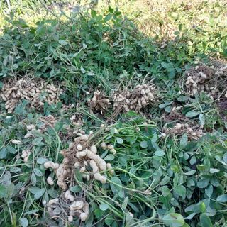 박수연님의 자유주제 · 자유게시판 작성글 사진