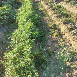 박수연님의 자유주제 · 자유게시판 작성글 사진