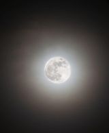 팜모닝 한가위, 덕담을 나눠주세요·참여글 게시글 이미지