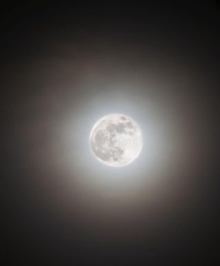 나도농부님의 한가위, 덕담을 나눠주세요 · 참여글 작성글 사진